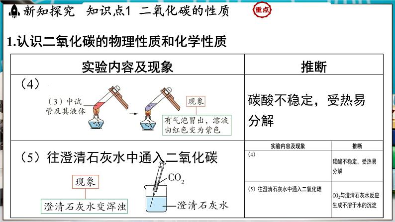 5.3 二氧化碳 课件-2024-2025学年九年级化学科粤版（2024）上册第5页