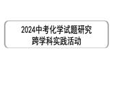 2024中考化学试题研究 跨学科实践活动  (课件)