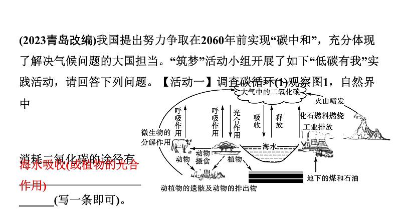 2024中考化学试题研究 跨学科实践活动  (课件)第3页