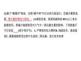 2024中考化学试题研究 跨学科实践活动  (课件)