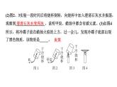 2024中考化学试题研究 横向实验归类练  与元素守恒有关的实验 (课件)