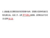 2024中考化学试题研究 横向实验归类练  与元素守恒有关的实验 (课件)