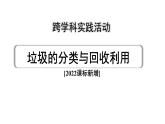 2024中考化学试题研究 跨学科实践活动四  (课件)