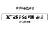 2024中考化学试题研究 跨学科实践活动一  (课件)