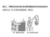 2024中考化学试题研究 跨学科实践活动一  (课件)
