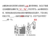 2024中考化学试题研究 跨学科实践活动一  (课件)