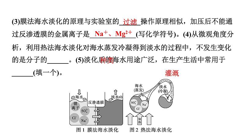 2024中考化学试题研究 跨学科实践活动一  (课件)第5页