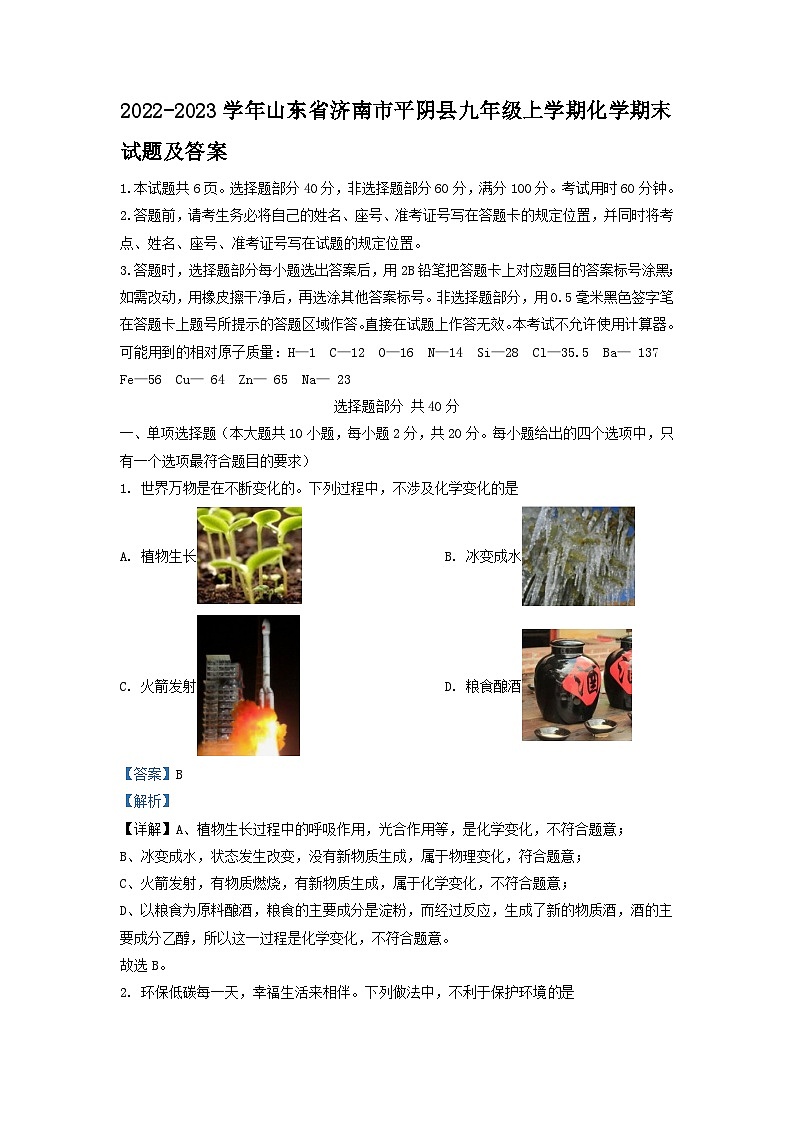 2022-2023学年山东省济南市平阴县九年级上学期化学期末试题及答案01