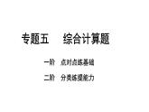2024重庆中考化学二轮复习专题五 综合计算题 （课件）