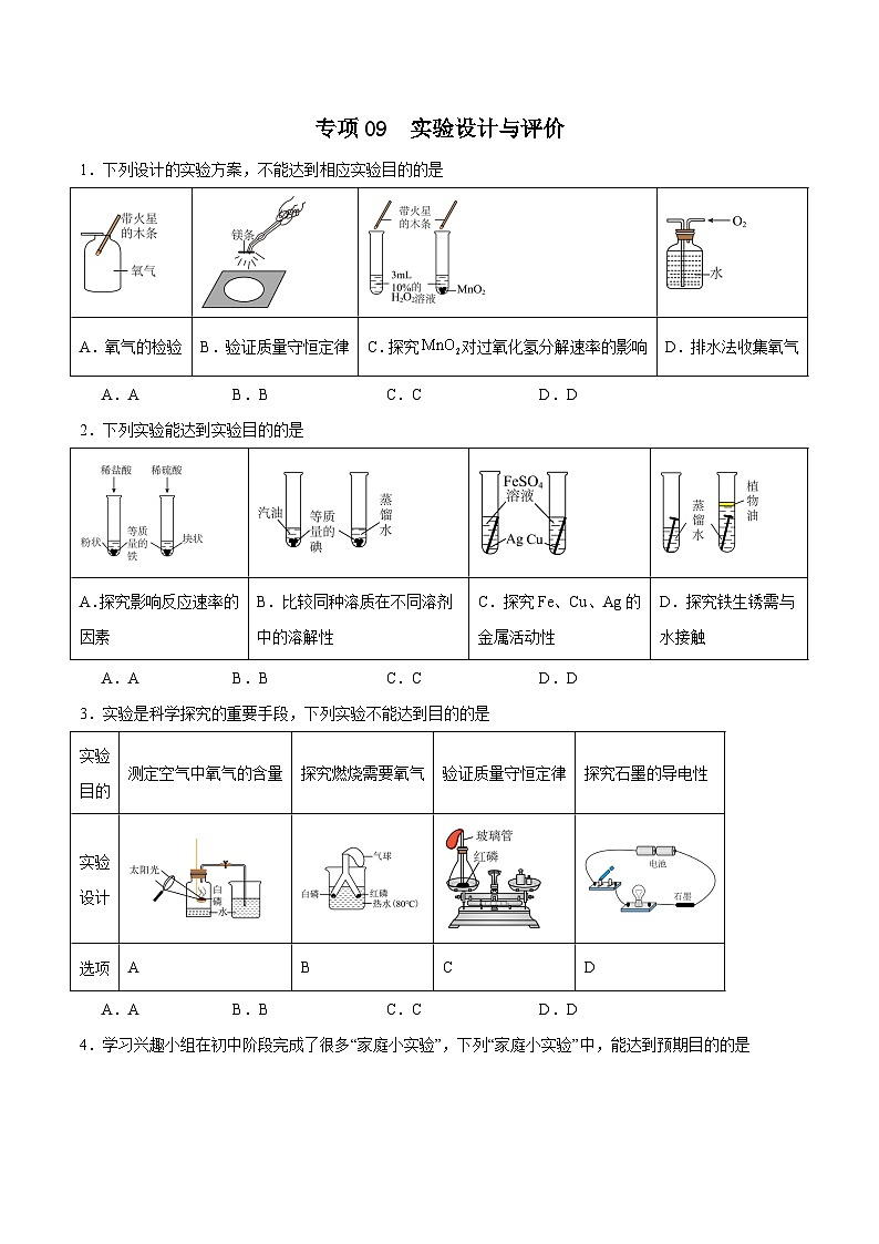 专项09 实验设计与评价25题-2024年中考化学常考点必杀300题（安徽专用）（原卷版）第1页