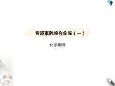 鲁教版初中九年级化学上册专项素养综合练(一)化学用语课件