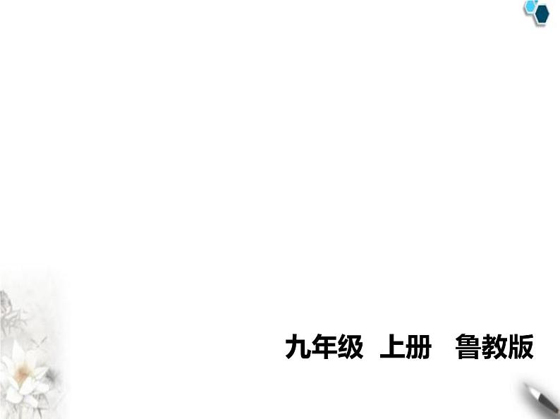 鲁教版初中九年级化学上册专项素养综合练(二)构成物质的微粒课件第1页