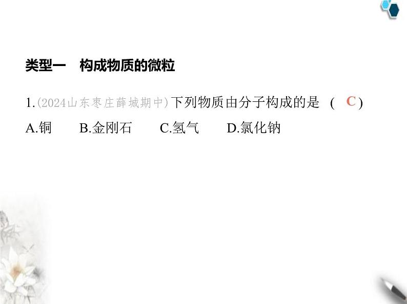 鲁教版初中九年级化学上册专项素养综合练(二)构成物质的微粒课件第3页