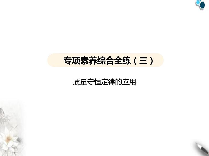 鲁教版初中九年级化学上册专项素养综合练(三)质量守恒定律的应用课件第2页