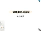 鲁教版初中九年级化学上册专项素养综合练(五)跨学科试题课件
