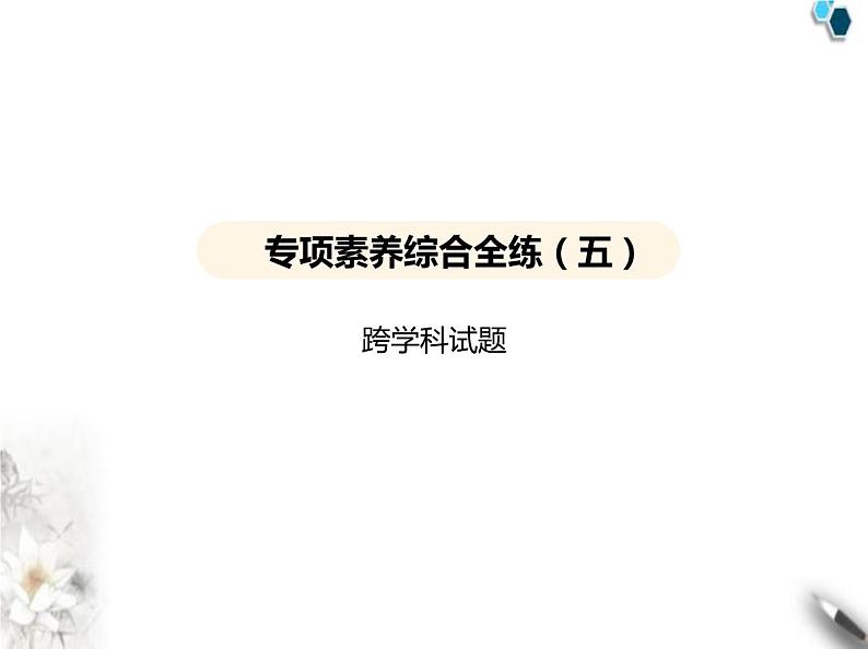 鲁教版初中九年级化学上册专项素养综合练(五)跨学科试题课件第2页