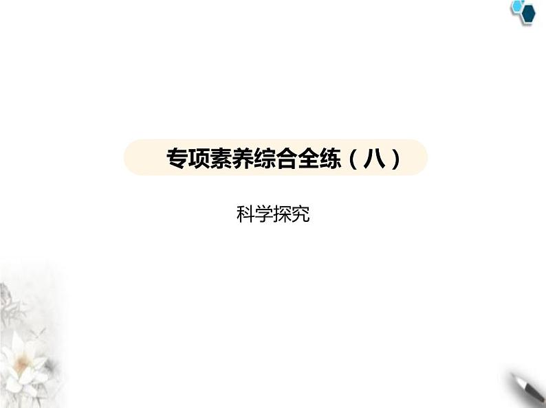 鲁教版初中九年级化学上册专项素养综合练(八)科学探究课件第2页