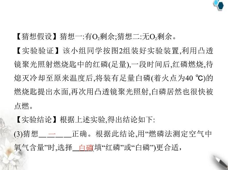 鲁教版初中九年级化学上册专项素养综合练(八)科学探究课件第6页