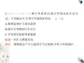 魯教版初中九年級化學上冊第四單元素養(yǎng)綜合檢測課件