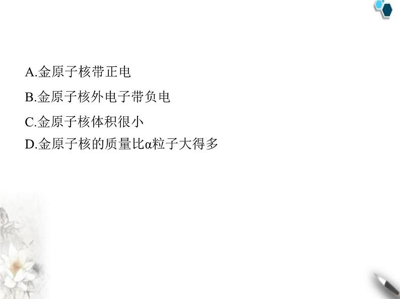 鲁教版初中九年级化学上册第二单元认识物质的构成第一节第一课时原子的结构计量原子的质量课件03