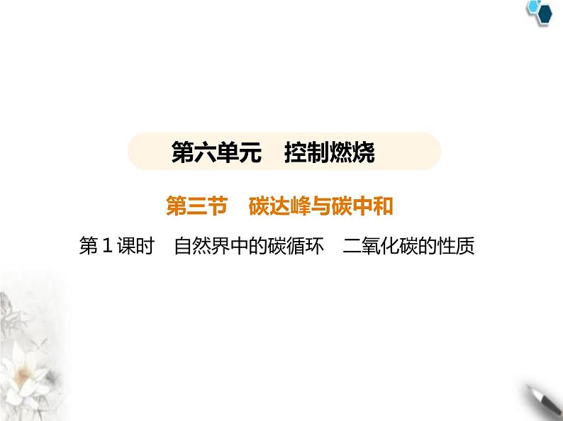 鲁教版初中九年级化学上册第六单元控制燃烧第三节第一课时自然界中的碳循环二氧化碳的性质课件第1页