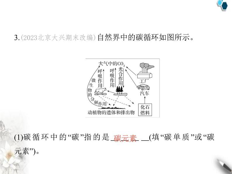 鲁教版初中九年级化学上册第六单元控制燃烧第三节第一课时自然界中的碳循环二氧化碳的性质课件第5页