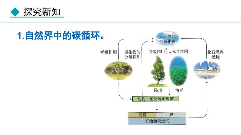 人教版九年级化学上册课件 6.2.2 二氧化碳对生活和环境的影响 一氧化碳04