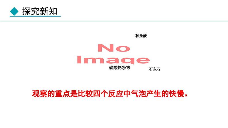 人教版九年级化学上册课件 6.3 二氧化碳的实验室制取第6页