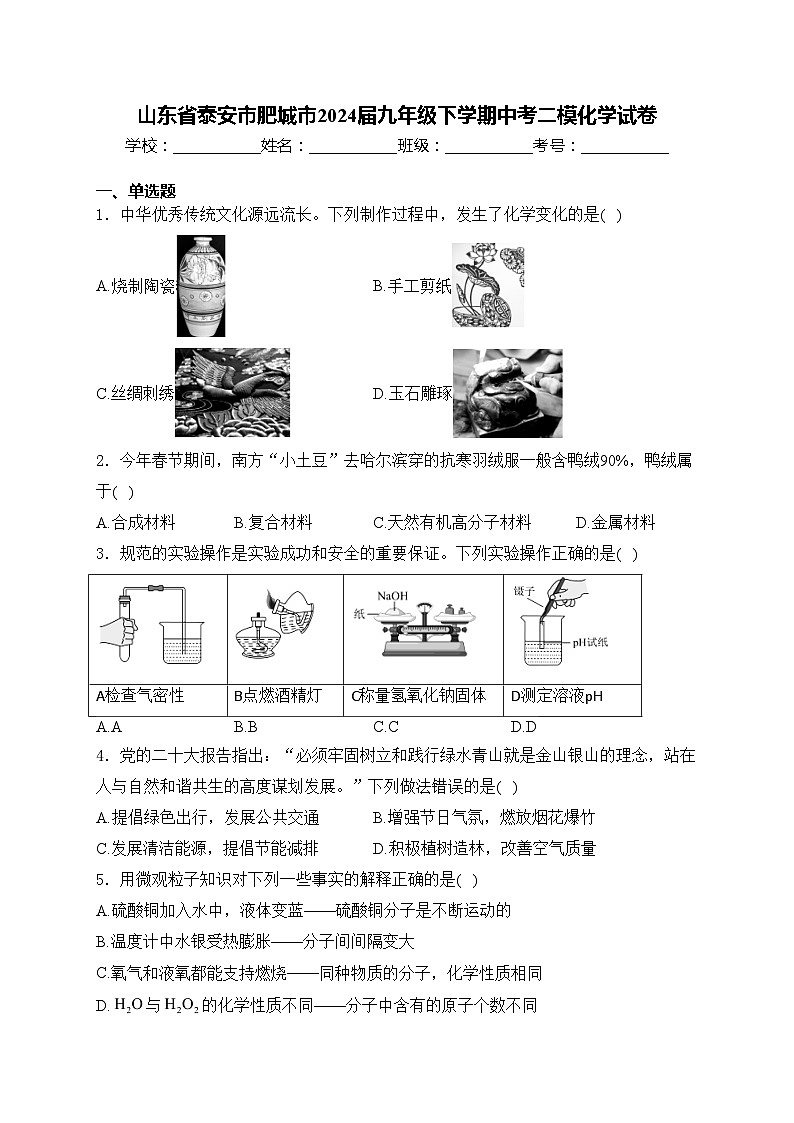 山东省泰安市肥城市2024届九年级下学期中考二模化学试卷(含答案)第1页
