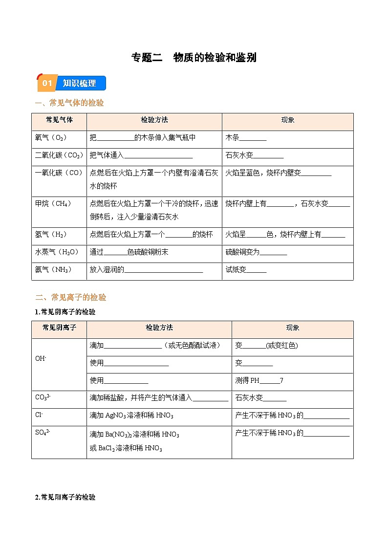 专题2 物质的检验和鉴别（原卷版）【实验攻略】备战2024年中考化学实验 第1页