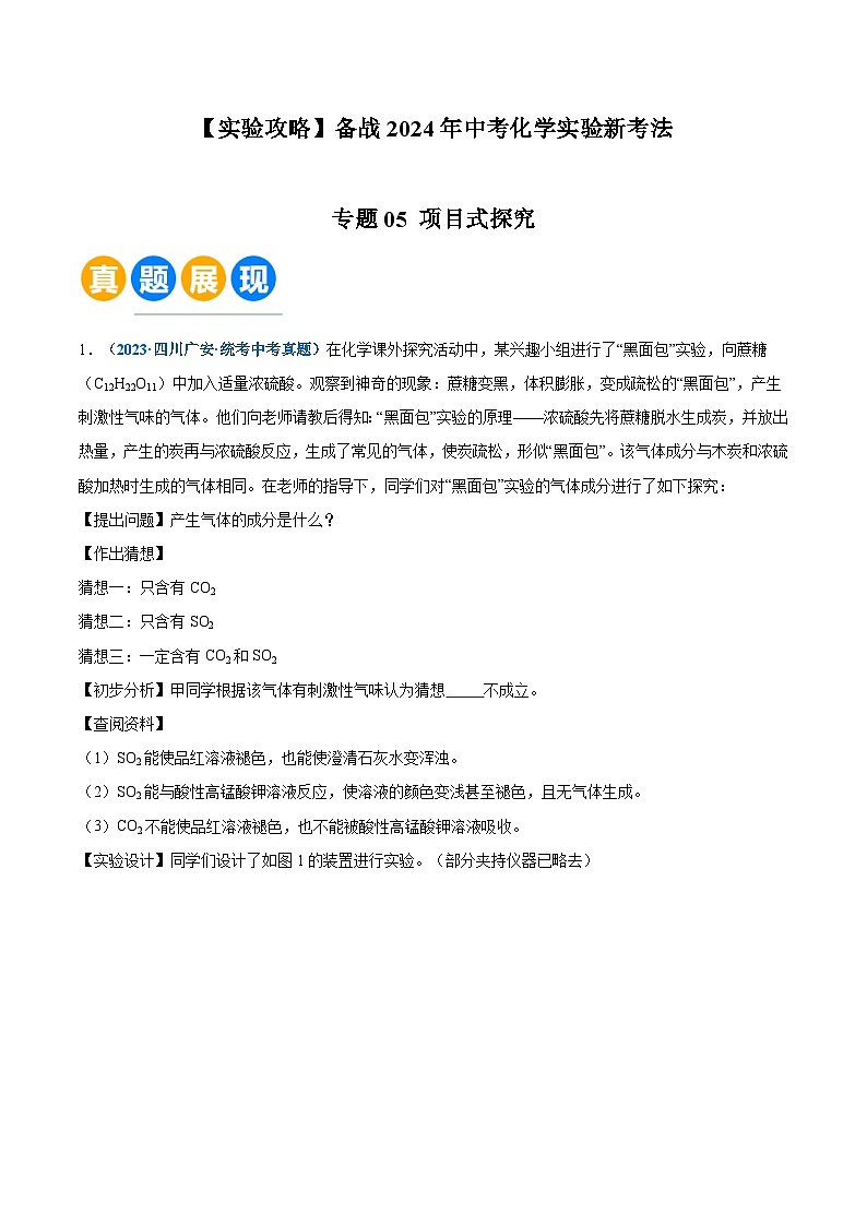 专题05 项目式探究（原卷版）【实验攻略】备战2024年中考化学实验 第1页