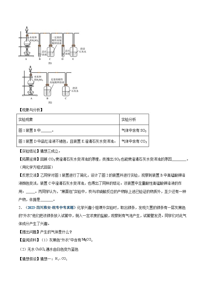 专题05 项目式探究（原卷版）【实验攻略】备战2024年中考化学实验 第2页