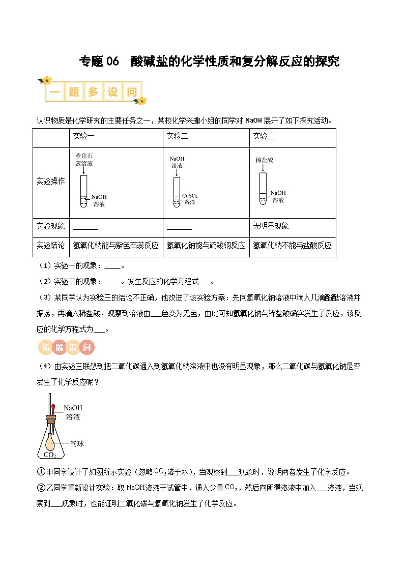 专题06 酸碱盐的化学性质和复分解反应的探究（原卷版）【实验攻略】备战2024年中考化学实验 第1页