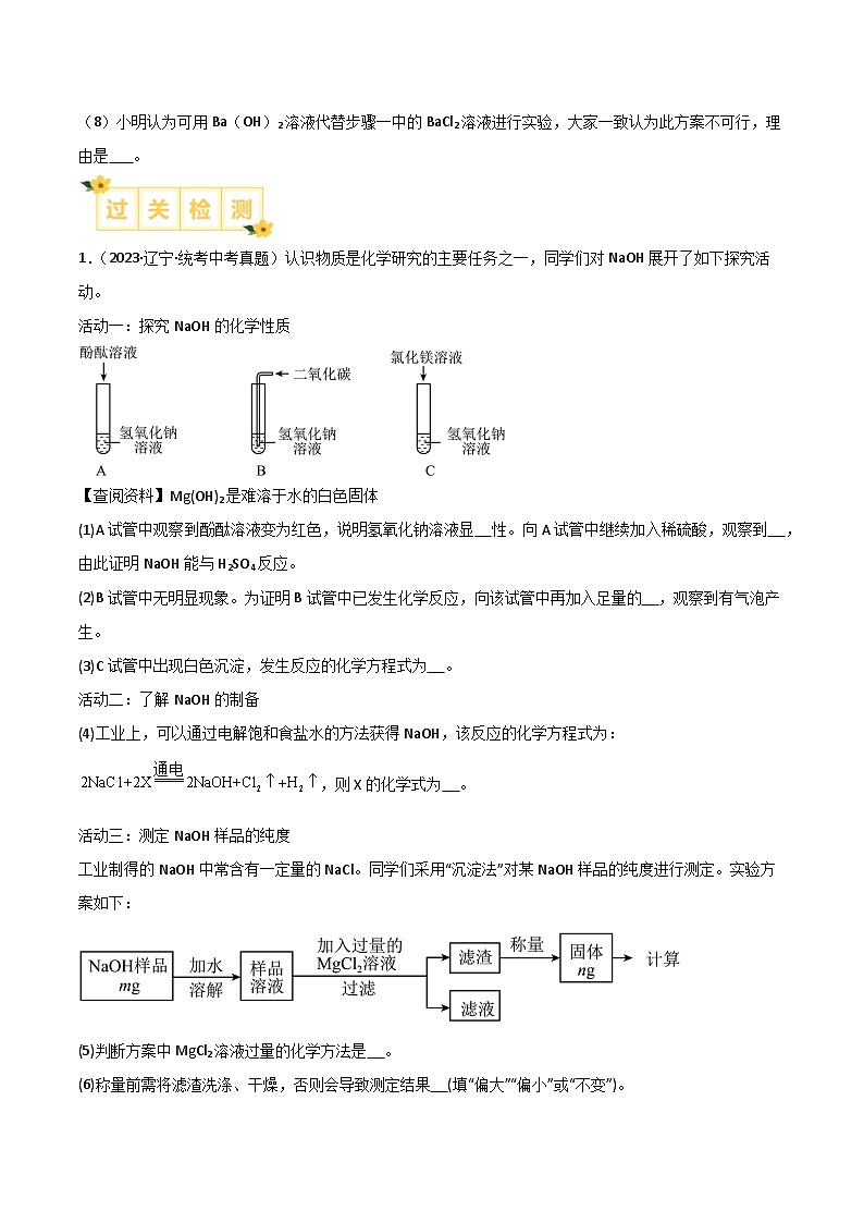专题06 酸碱盐的化学性质和复分解反应的探究（原卷版）【实验攻略】备战2024年中考化学实验 第3页