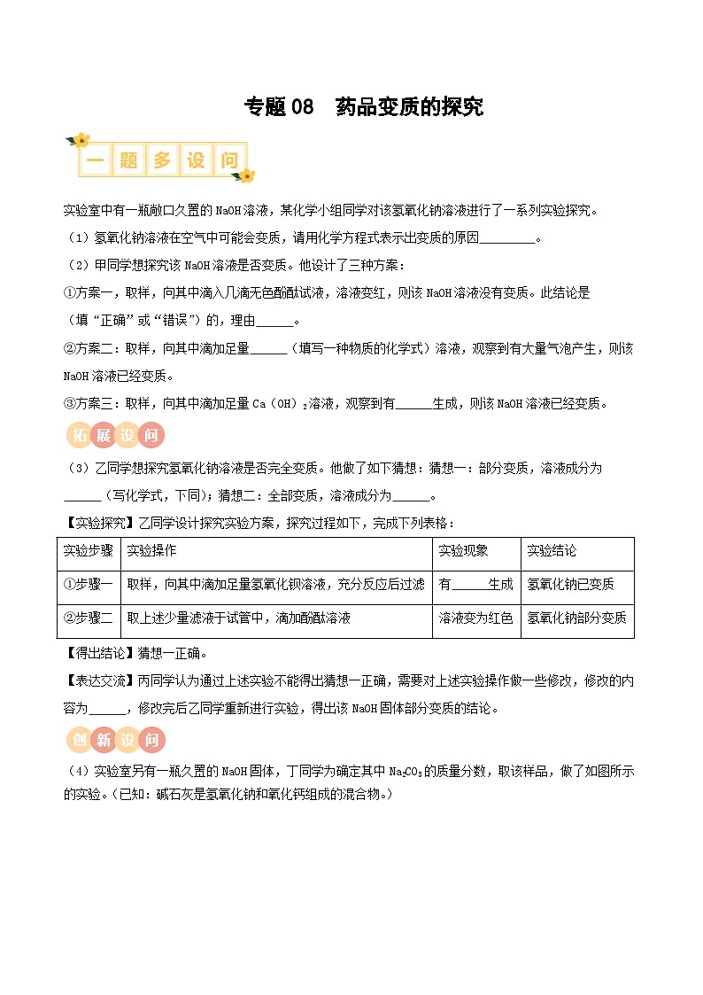专题08 药品变质的探究（含答案）【实验攻略】备战2024年中考化学实验01