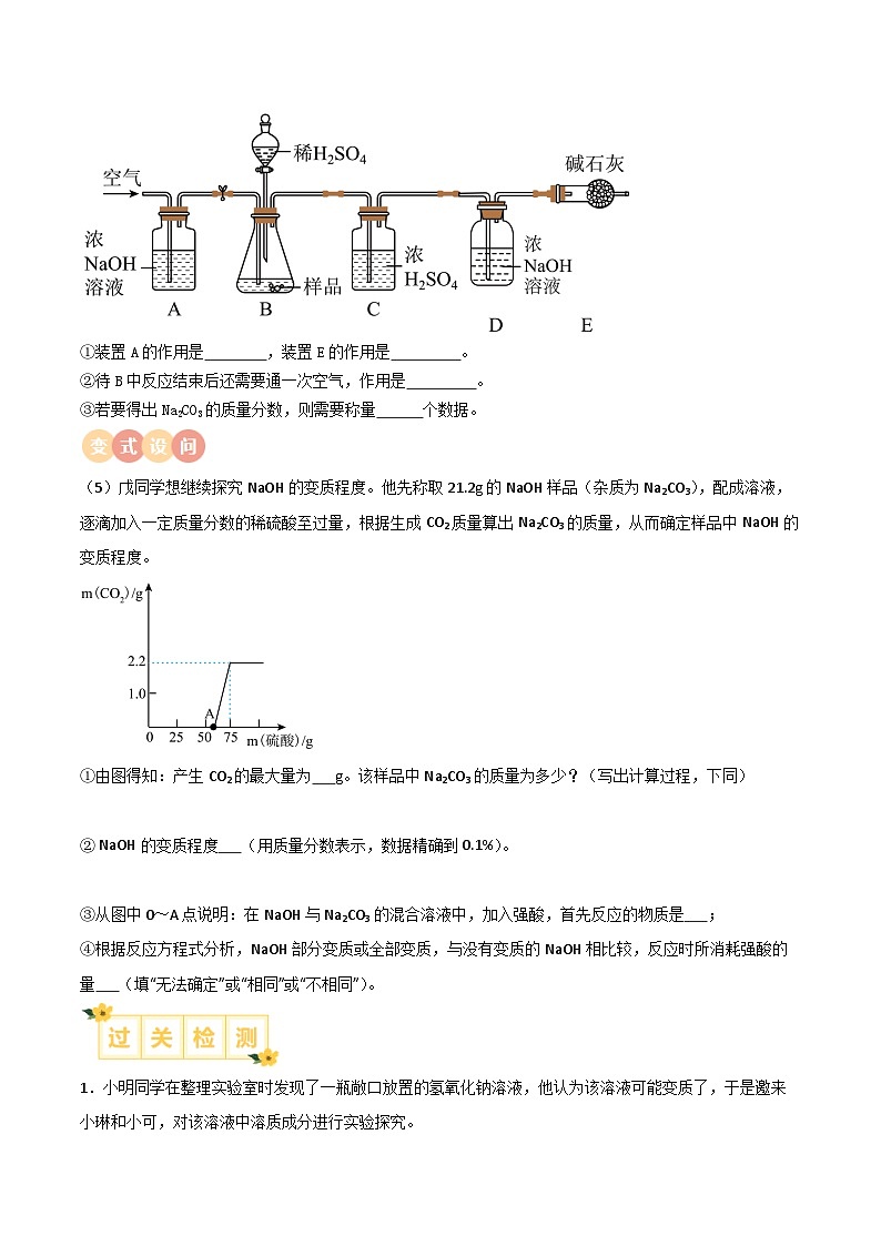 专题08 药品变质的探究（含答案）【实验攻略】备战2024年中考化学实验02
