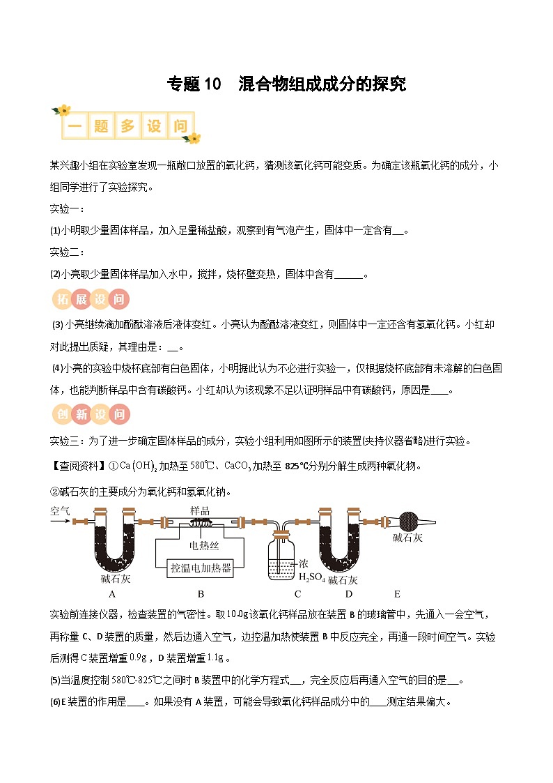 专题10 混合物组成成分的探究（解析版）【实验攻略】备战2024年中考化学实验 第1页