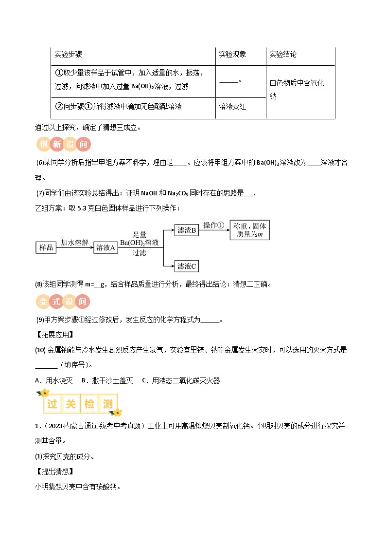 专题13 课外实验拓展的探究（原卷版）【实验攻略】备战2024年中考化学实验 第2页