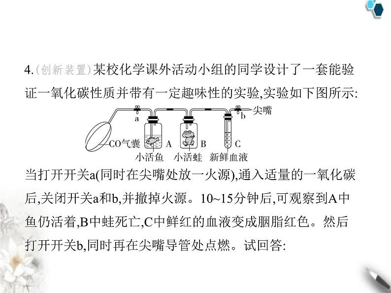 人教版初中九年级化学上册第六单元碳和碳的氧化物课题2碳的氧化物第二课时一氧化碳课件第5页