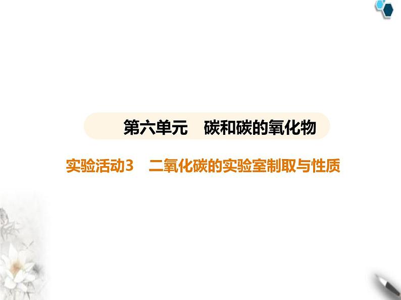 人教版初中九年级化学上册第六单元碳和碳的氧化物实验活动三 二氧化碳的实验室制取与性质课件01