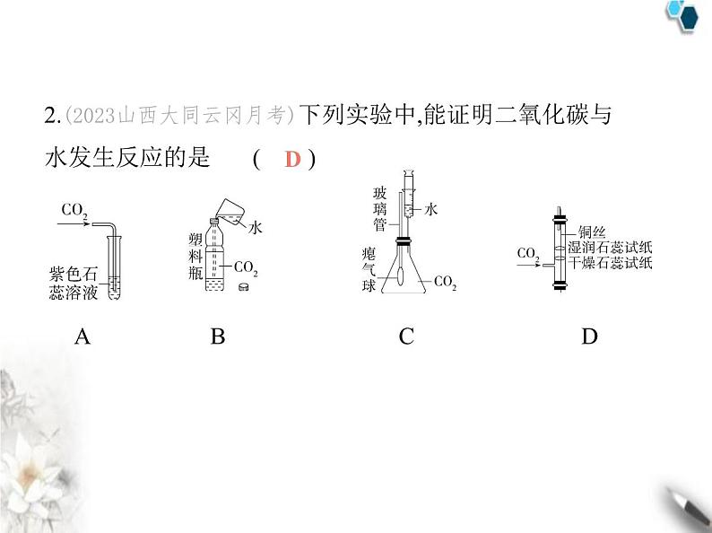 人教版初中九年级化学上册第六单元碳和碳的氧化物实验活动三 二氧化碳的实验室制取与性质课件04