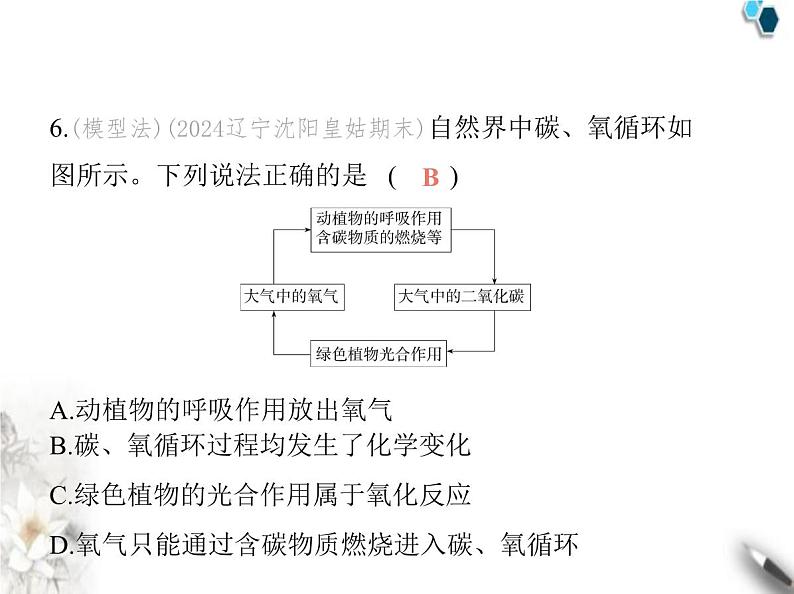 人教版初中九年级化学上册第六单元碳和碳的氧化物素养综合检测课件08