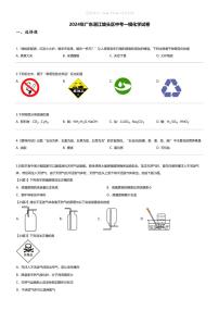 [化学][一模]2024年广东湛江坡头区中考一模化学试卷