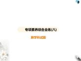 人教版初中九年級化學上冊專項素養(yǎng)綜合練(八)課件