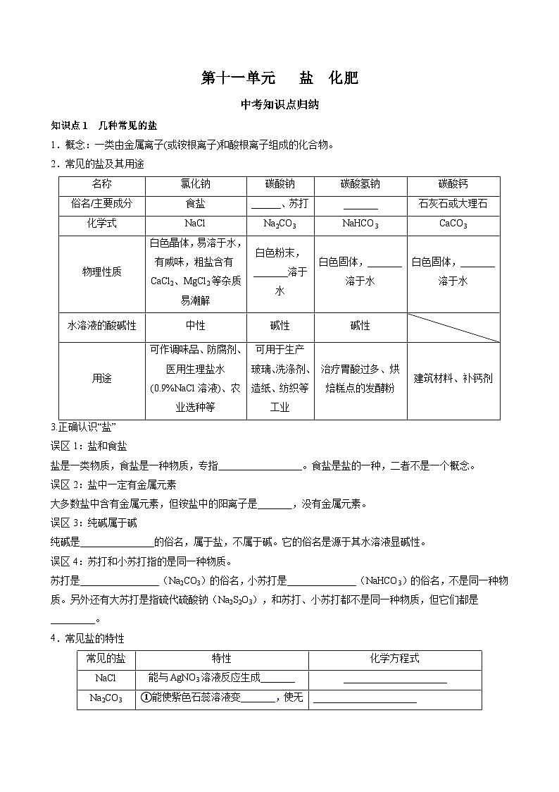 第十一单元 盐 化肥-【大单元复习】2024年中考化学一轮复习必考知识梳理与考法点拨（人教版）（学生版）第1页