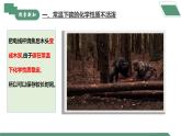 【核心素養(yǎng)】課題1第2課時《碳單質的多樣性》課件PPT+教學設計+同步練習（含答案和教學反思）