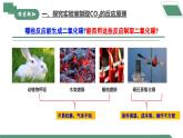 【核心素养】课题3《二氧化碳的实验室制取》课件PPT+教学设计+同步练习（含答案和教学反思）