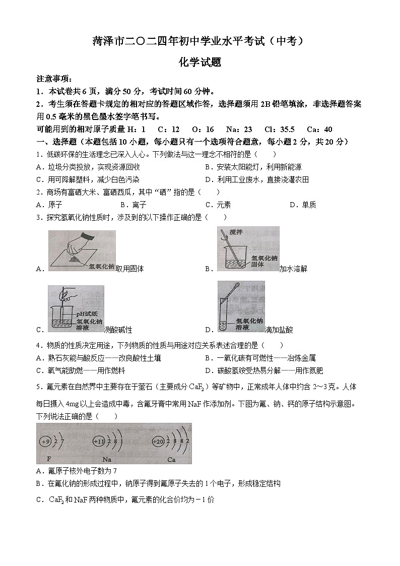 2024年山东省菏泽市中考化学真题(无答案)01
