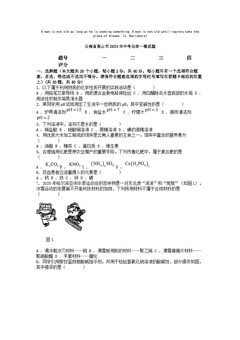 [化学][一模]云南省保山市2024年中考化学一模试题01