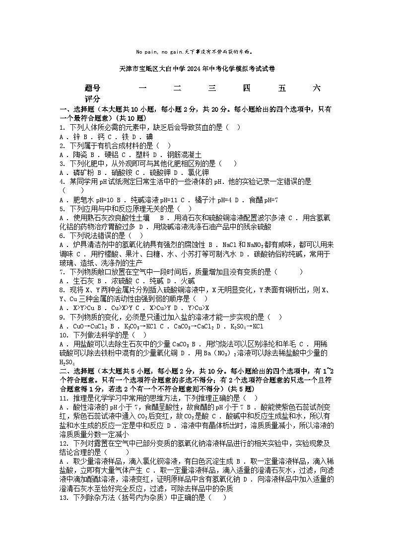 [化学]天津市宝坻区大白中学2024年中考化学模拟考试试卷01